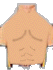 lung